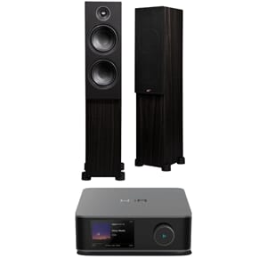 PSB Alpha T20 Sort + Wiim Amp Ultra