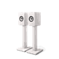 102955_1.png